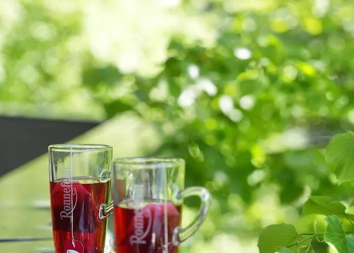 מלון La Boutique 4*